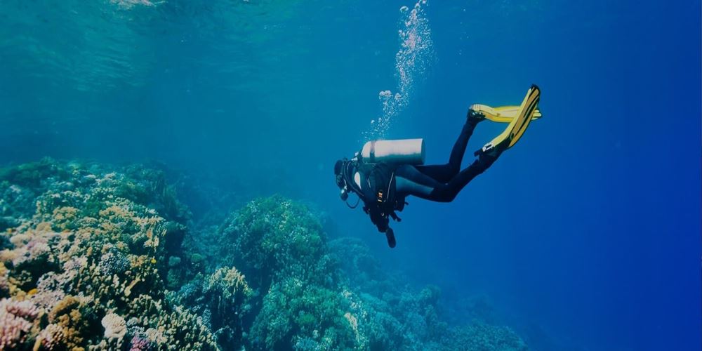 diving-adventure-lcr